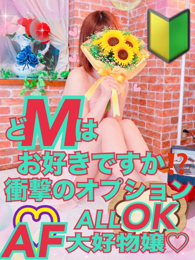 アルファ　ERIKA〜衝撃のどエッチちゃん〜