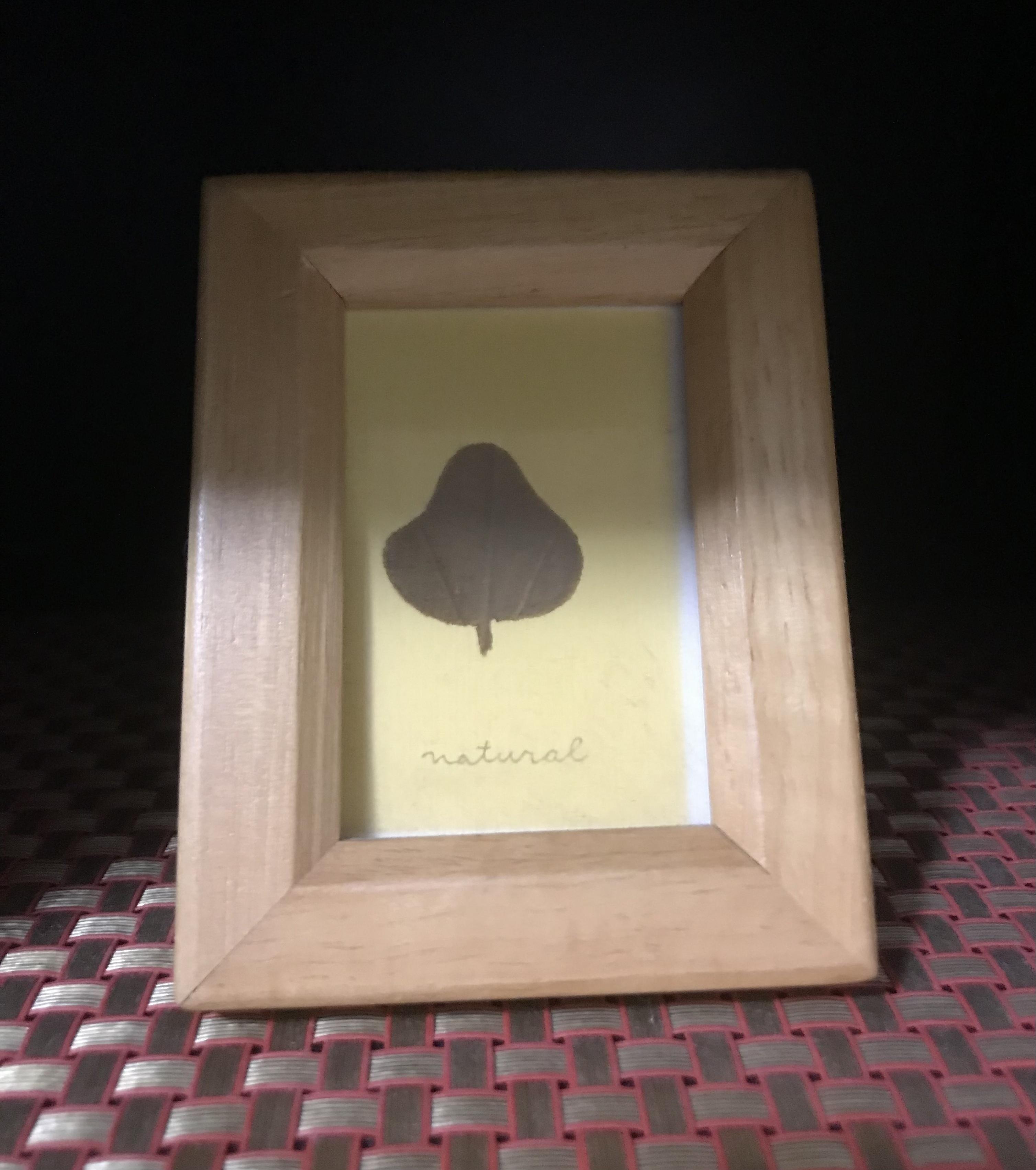 アルファ　店長