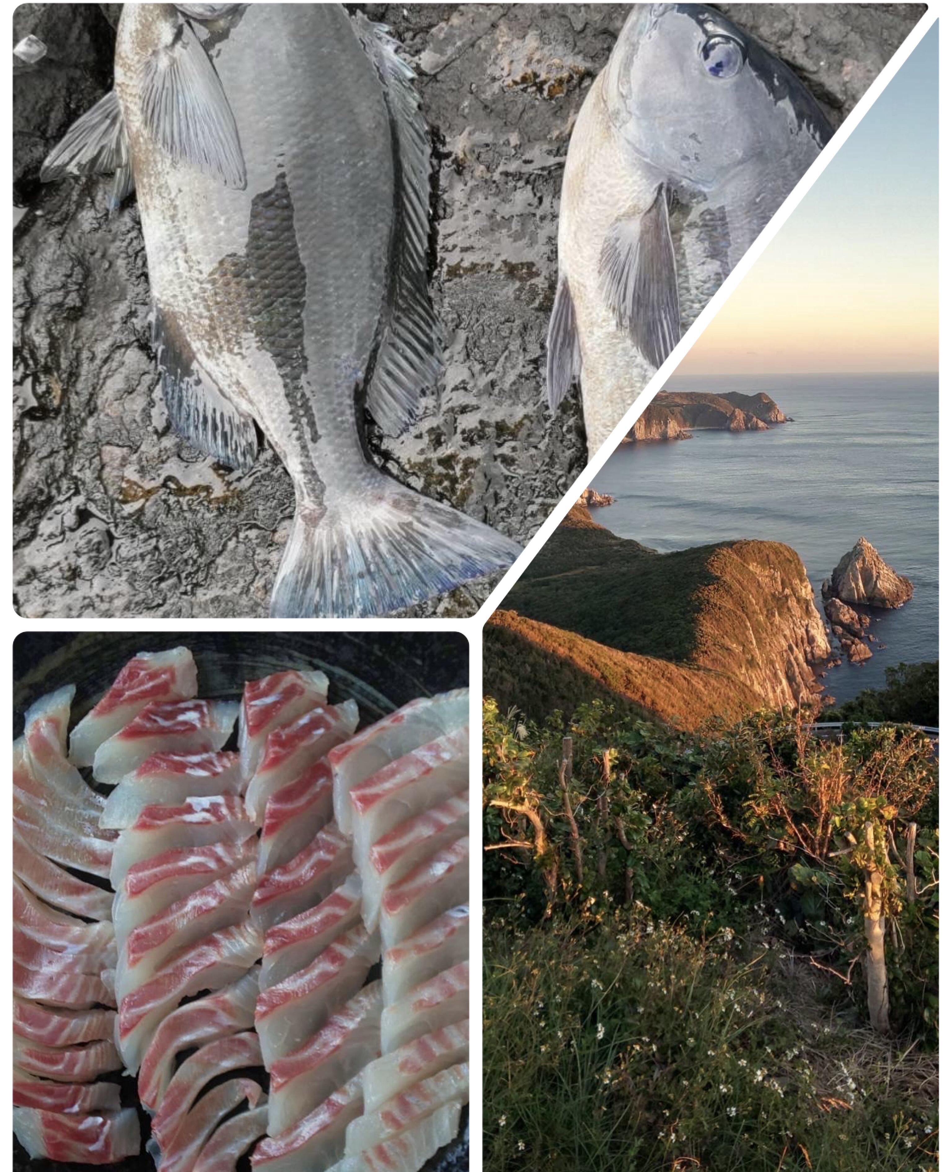 アルファ　店長