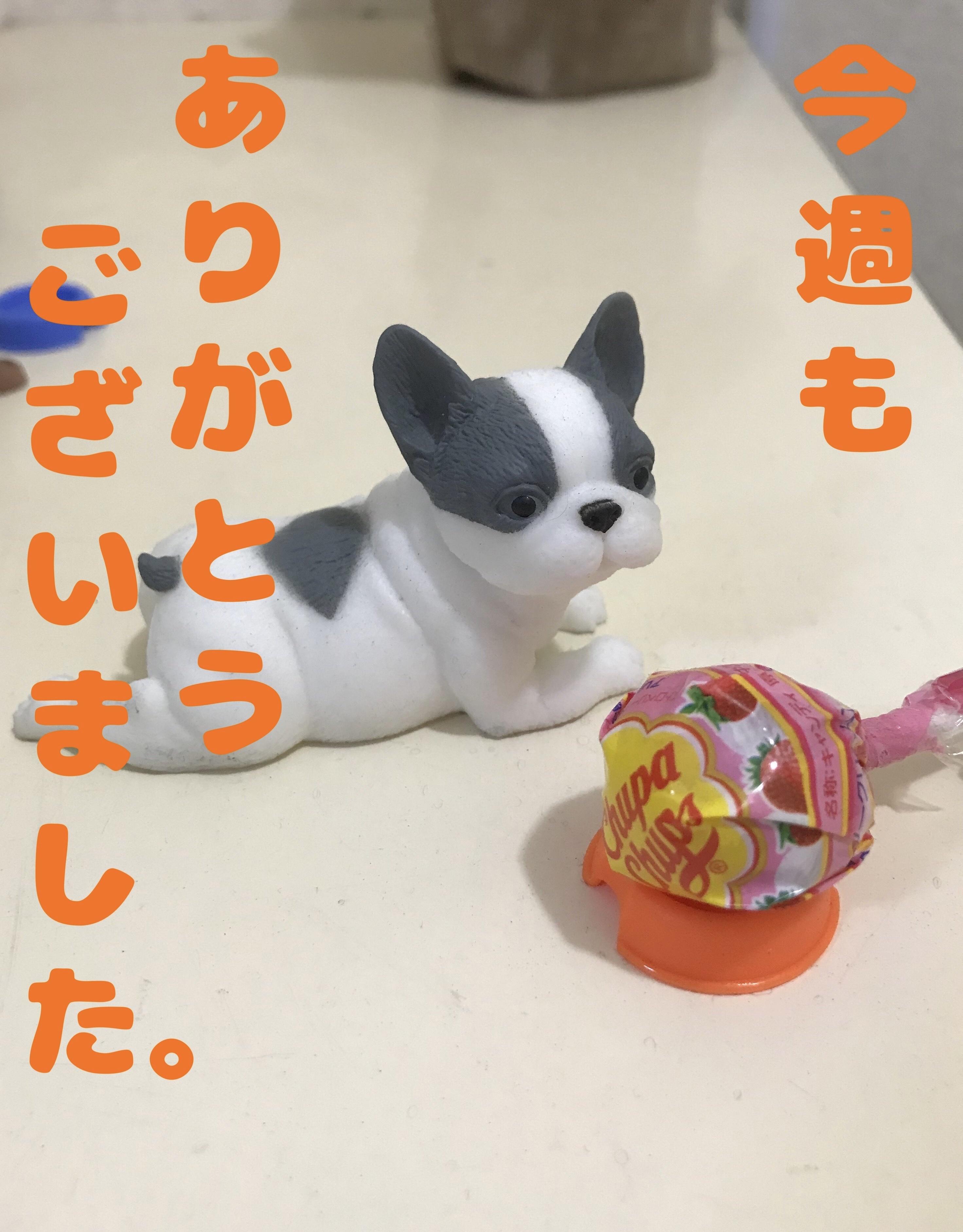 アルファ　店長