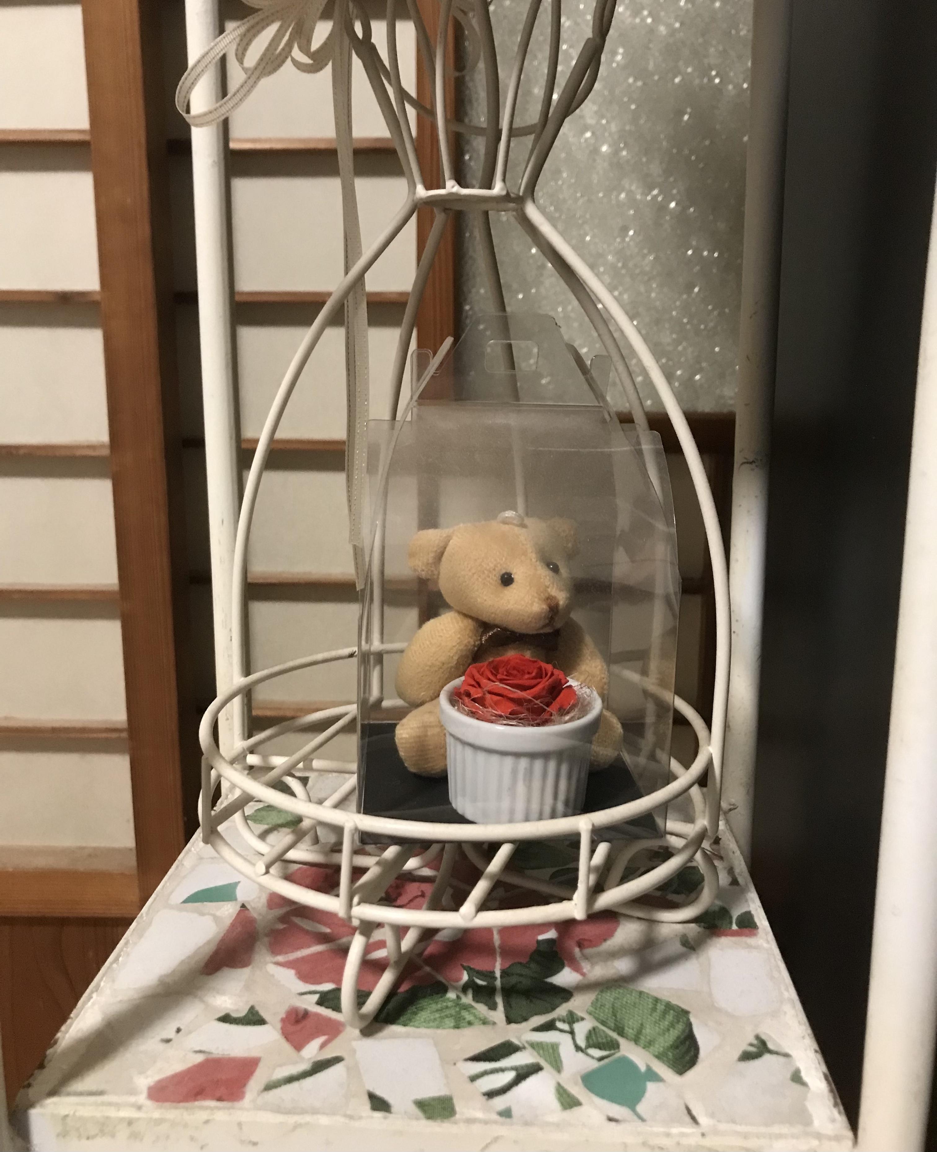 アルファ　店長