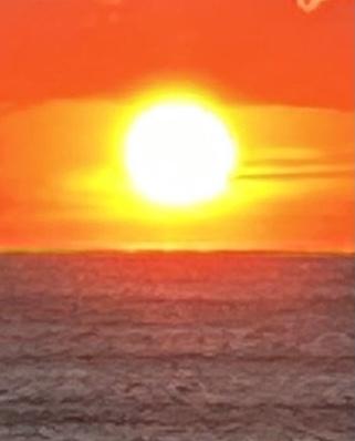 アルファ　店長