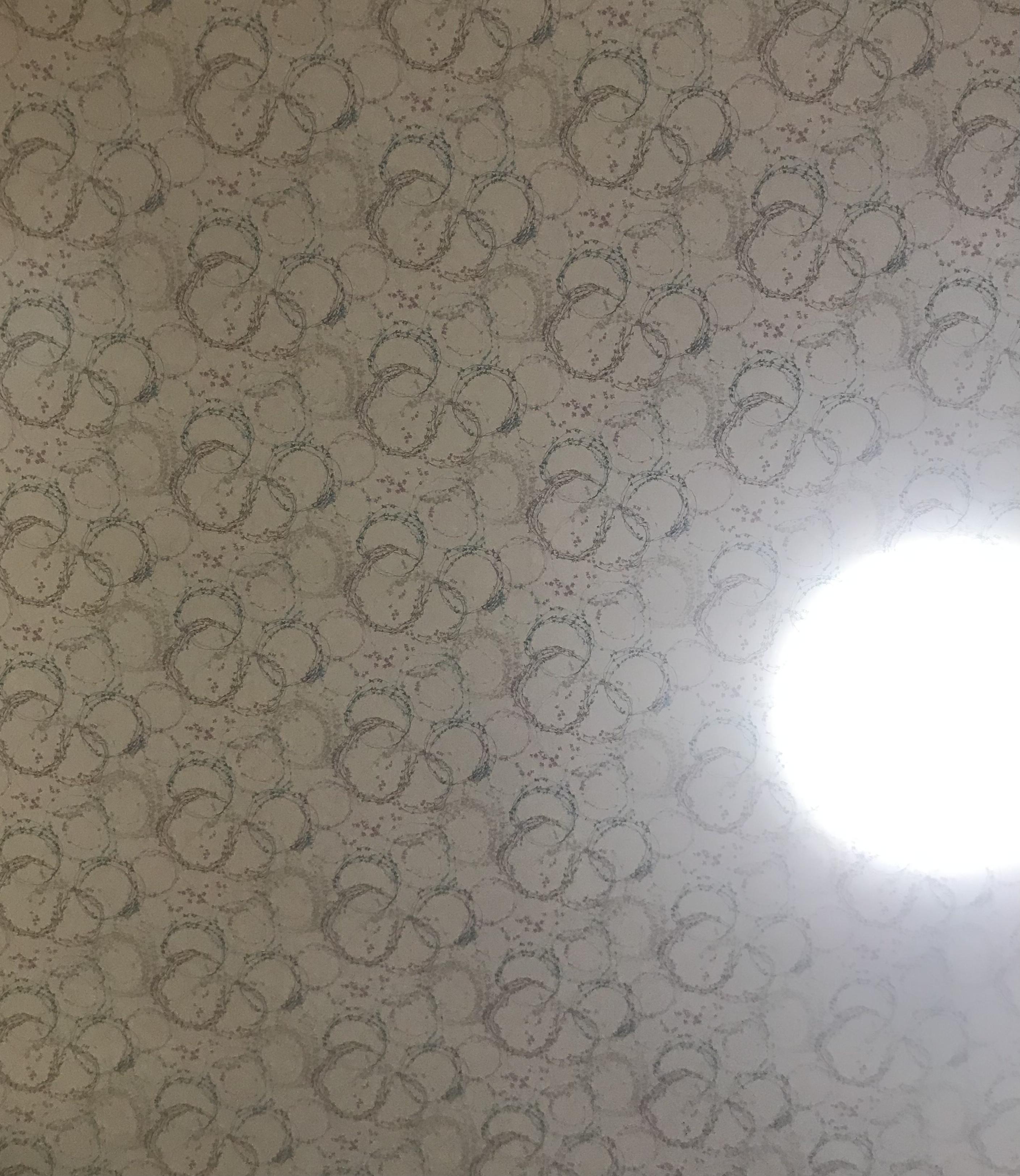 アルファ　店長