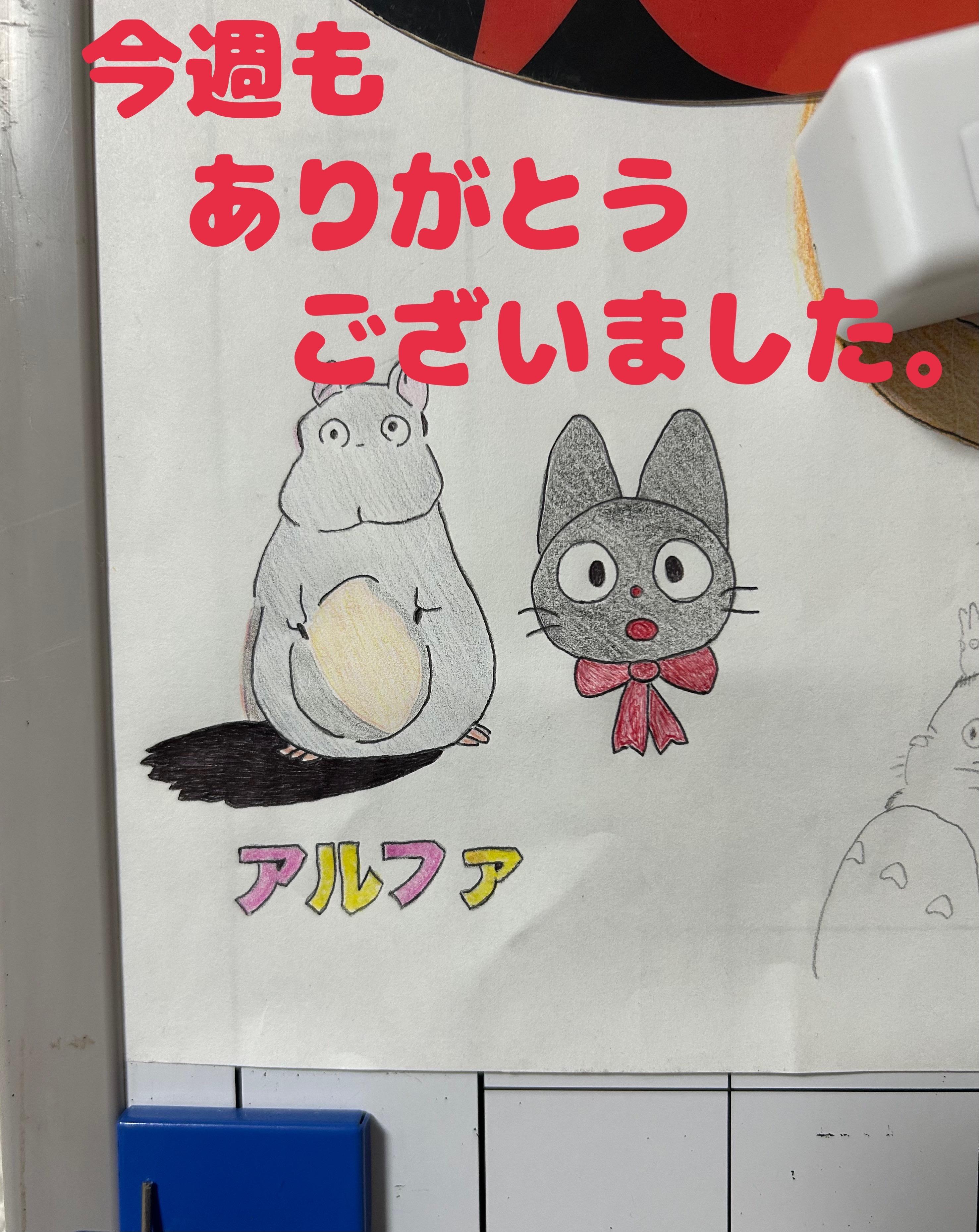 アルファ　店長