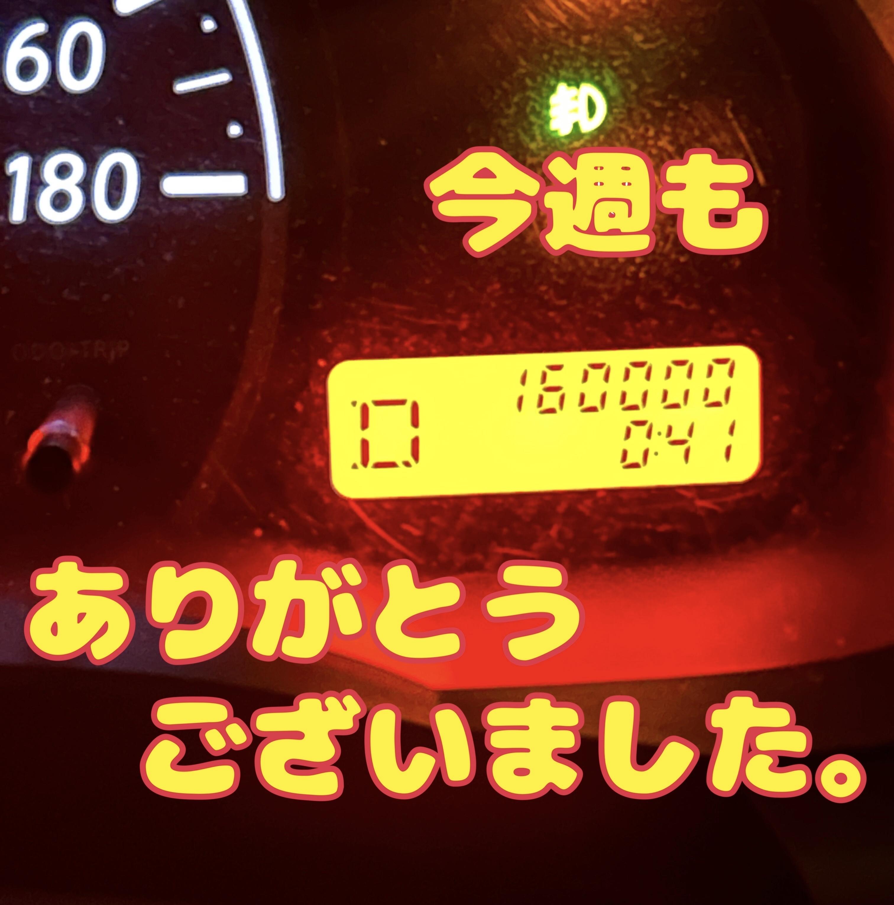 アルファ(デリヘル) 