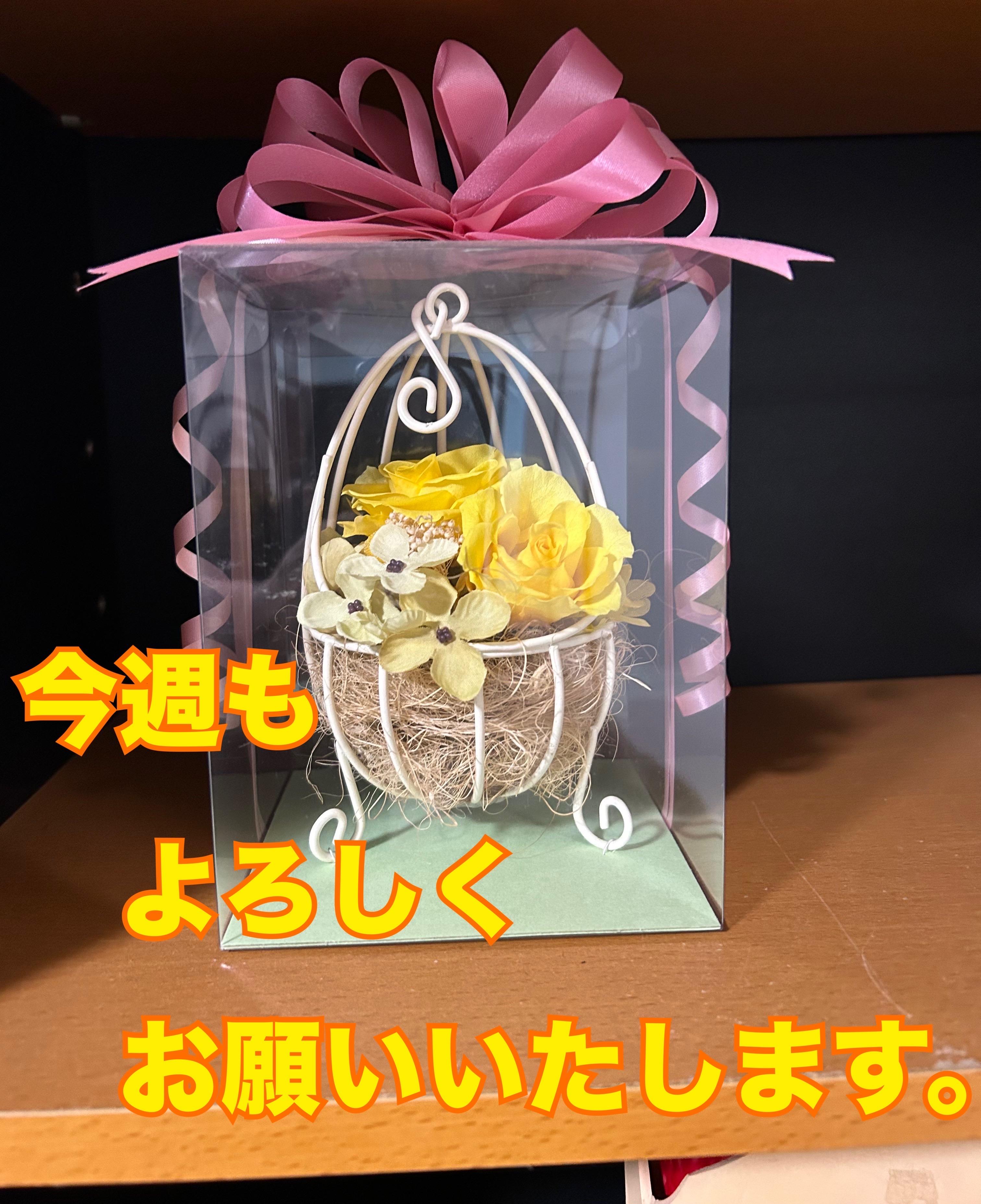 アルファ　店長