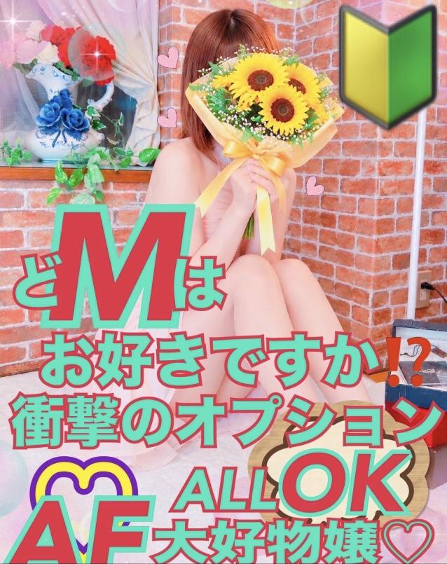アルファ　店長