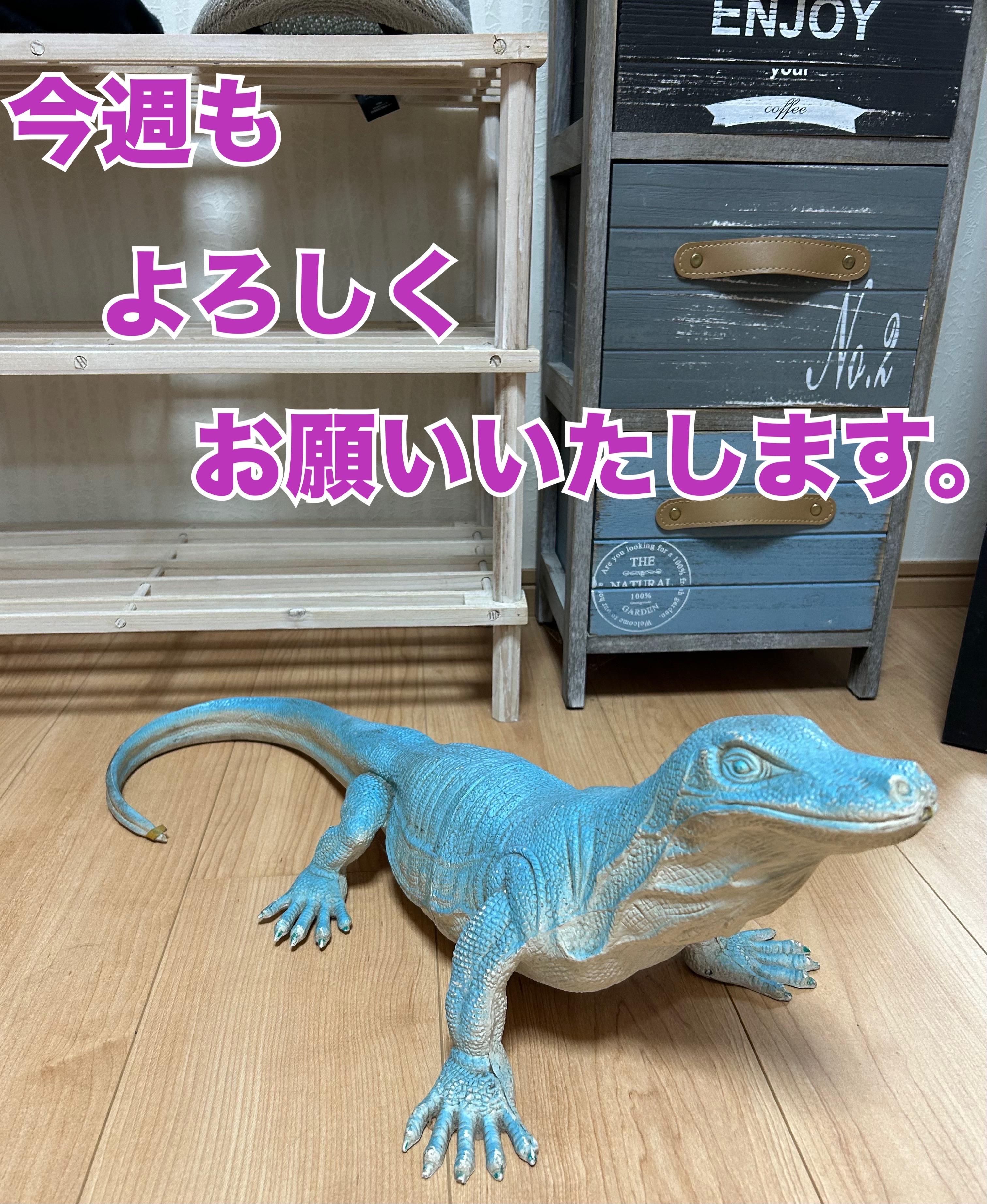 アルファ　店長