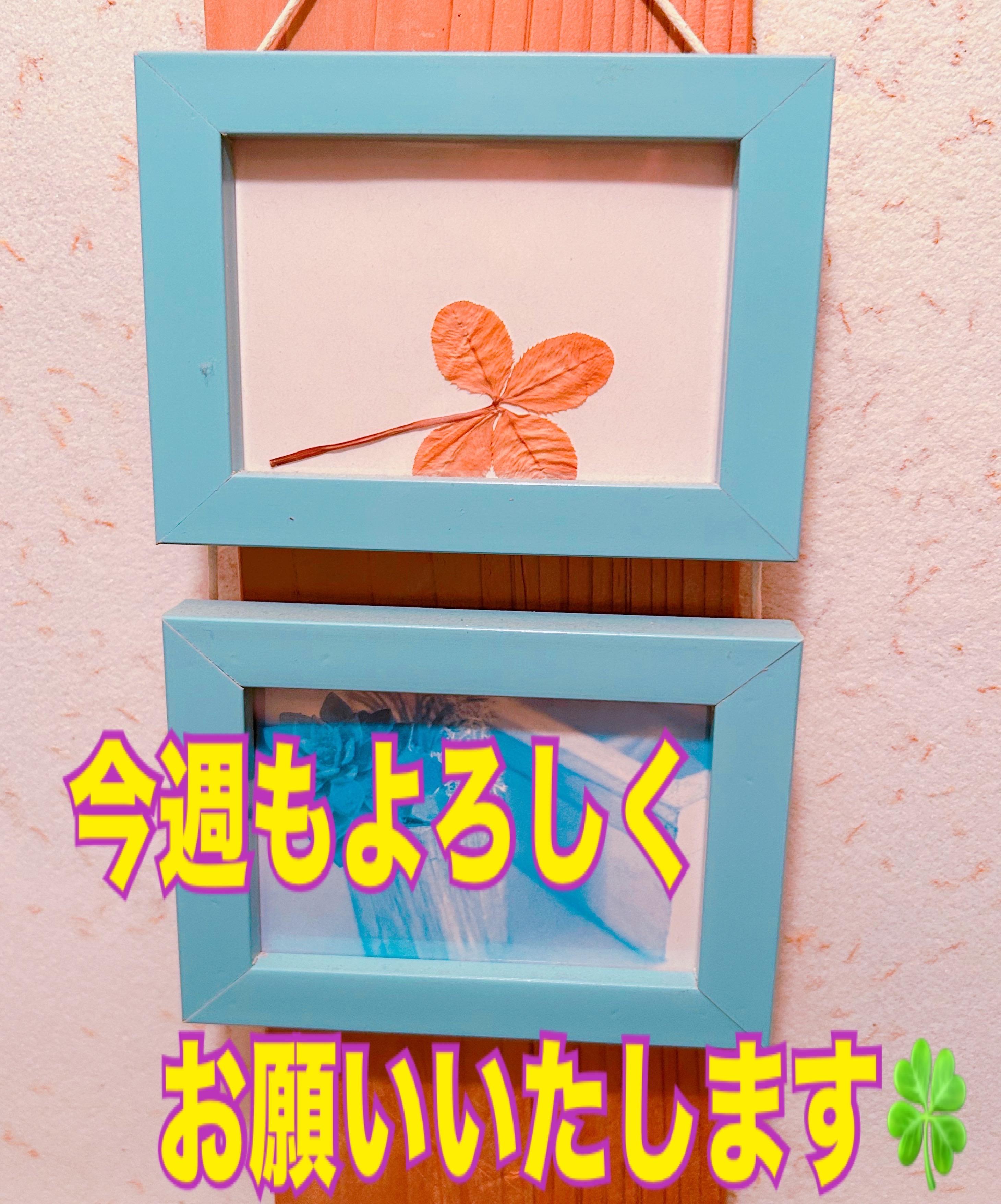 アルファ　店長