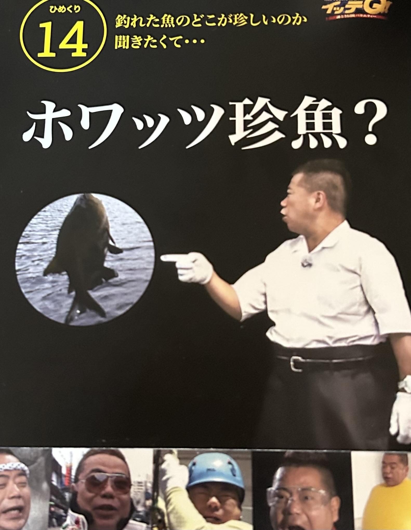 アルファ　店長