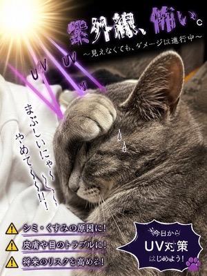 CLUB LUMINE　店長