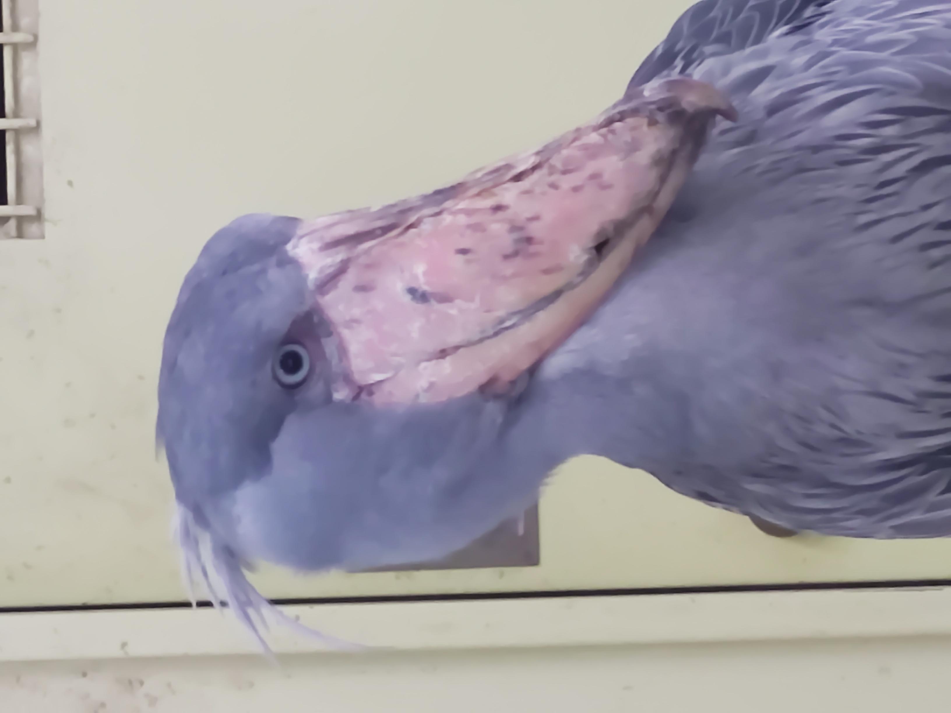 保険屋のおばちゃん　店長