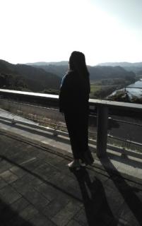 保険屋のおばちゃん