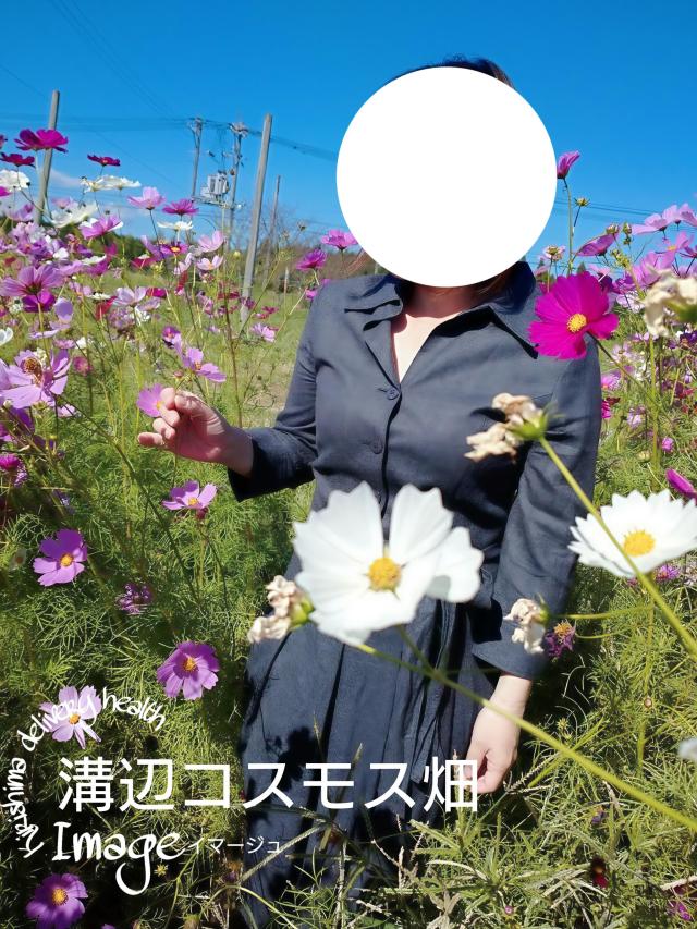 10/30-桜秋-さあきプロフィール写真