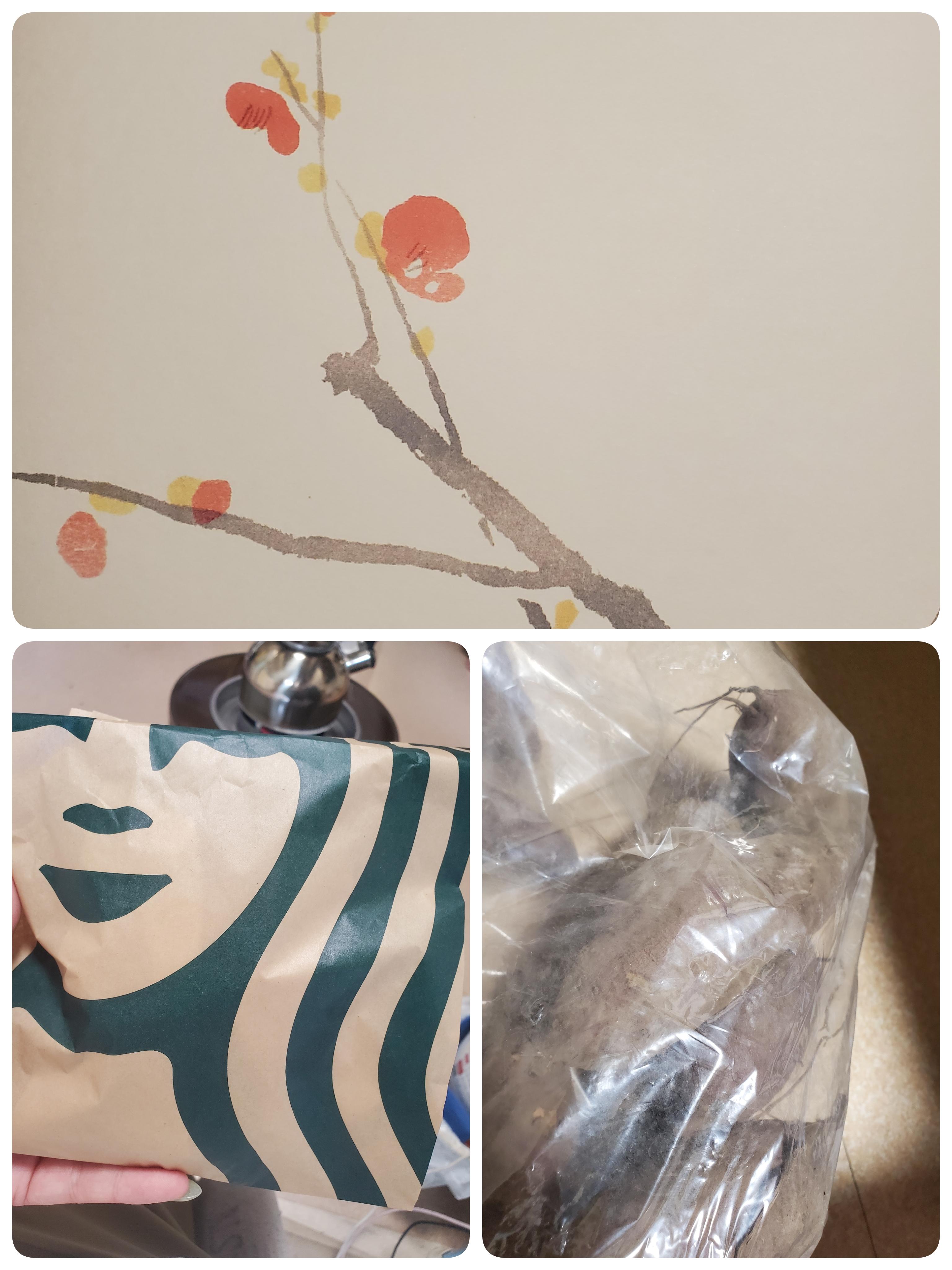 JaPON　スタッフ☆彡はくべい