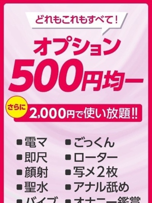全オプション500円プロフィール写真