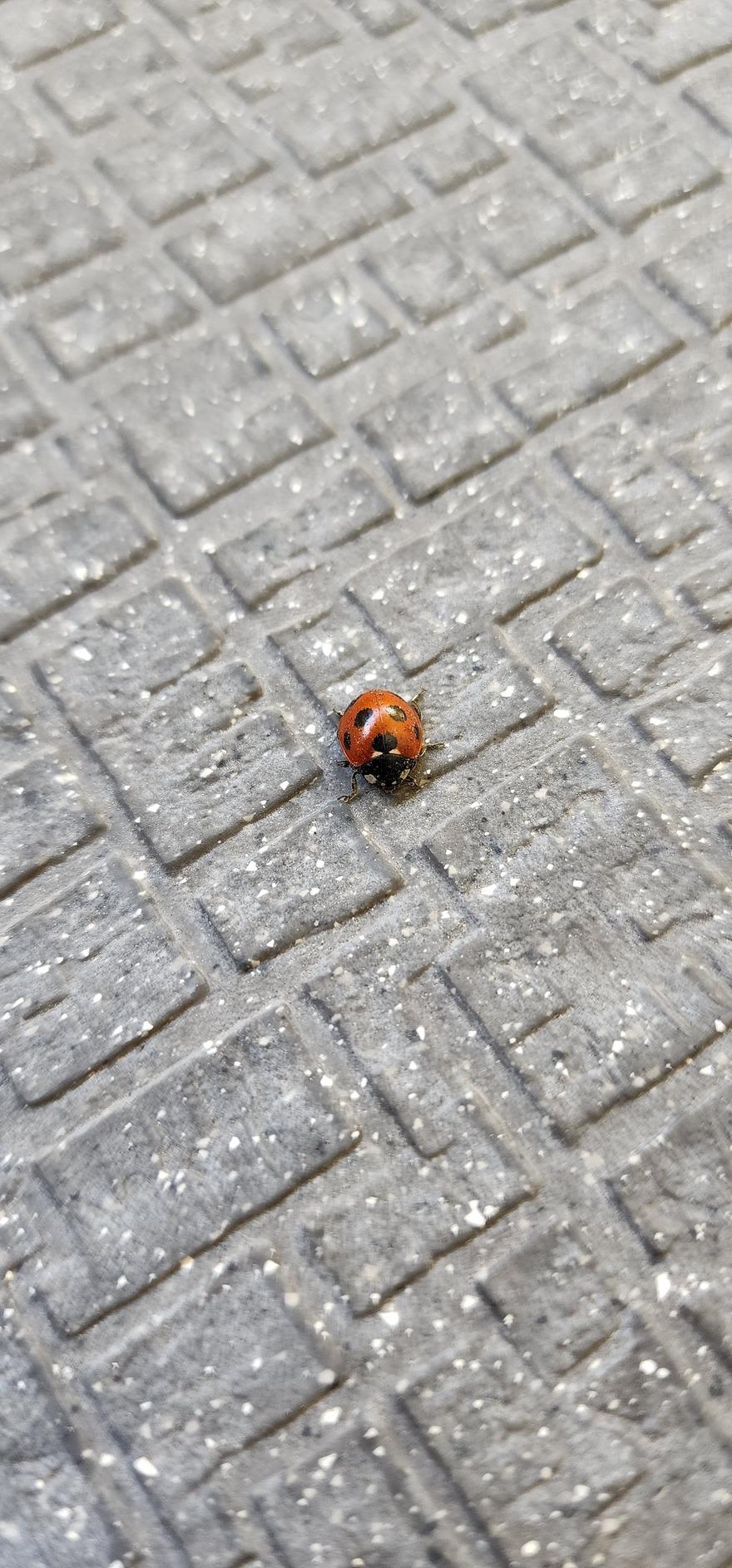 鹿児島天文館デリヘルLOVEVE～ラヴィーヴ～　店長