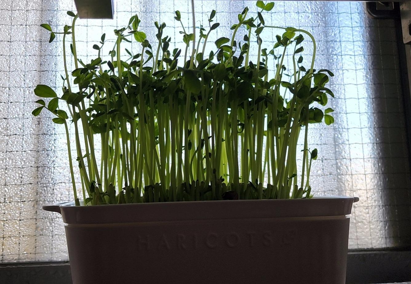 鹿児島天文館デリヘルLOVEVE～ラヴィーヴ～　