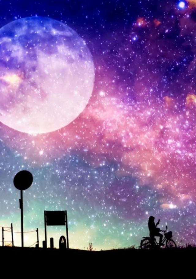 Midnight.paradaise〜真夜中の楽園〜プロフィール写真