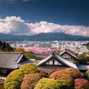 吉野ヶ里人妻デリヘル「デリ夫人」　店長