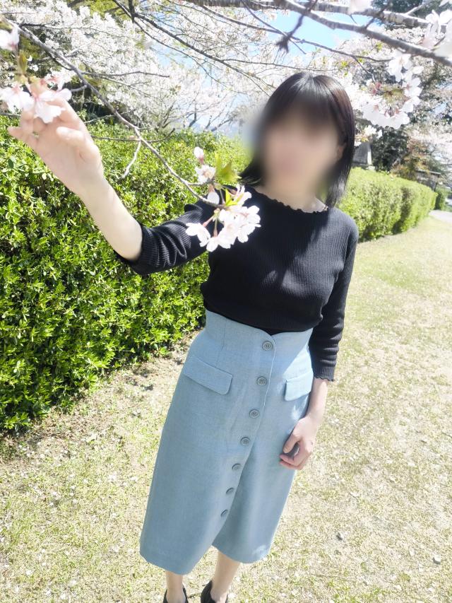 Roots(ルーツ)　しずか