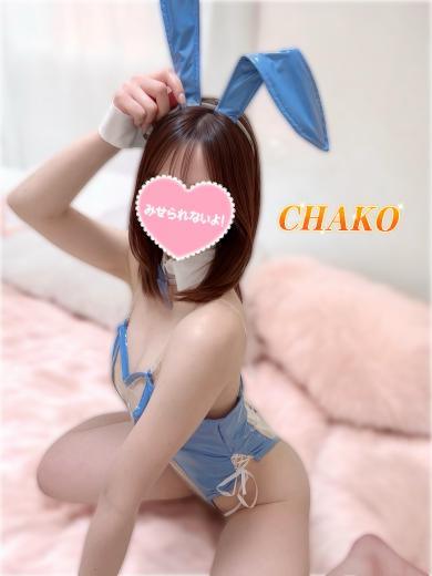 学生ちゃこプロフィール写真