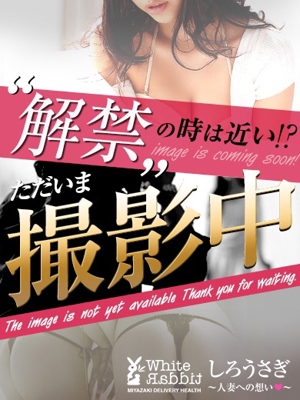 れんプロフィール写真