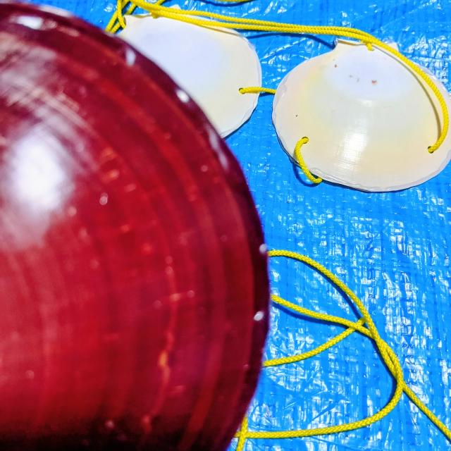 夏の水着キャンペーン3弾新作『くみこの月日貝』プロフィール写真